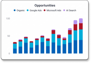 AI-Search-Opportunities